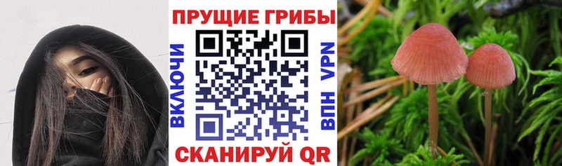 где купить наркоту  Касли  Галлюциногенные грибы мухоморы 